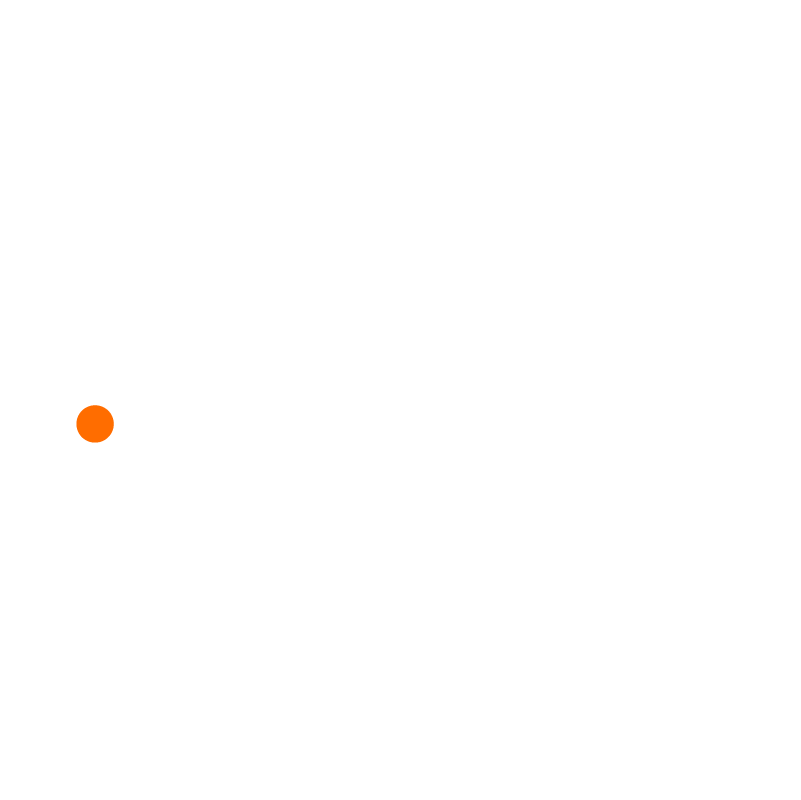 Birdeye